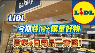 [超市系列] Lidl 今期特價+限量好物！Pick of the Week🛒Lidl 自家品牌好抵 - 平價洗頭水+沖涼液+護膚產品 #英國 #lidl #超市 #supermarket 