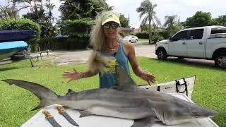 How to Fillet A Shark