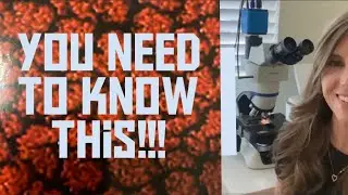 This will make you Swish! See Oxidative Stress Under High Powered Microscope
