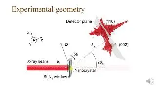 Revealing ferroelastic domains in CsPbBr3 nanoparticles by Bragg Coherent X-ray Diffraction Imaging