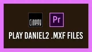 How to play Daniel2 .mxf video files | Without After Effects/Premiere