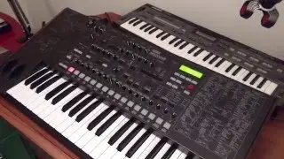 How to: MS2000 chaining for 8 voice polyphony