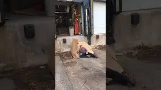 Loading dock slam #shorts  #parkour