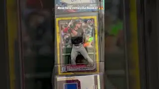 #cardcollector #cardcollection #baseball #baseballcards #mlb #mlbcards #psa #topps #bowman #rookie