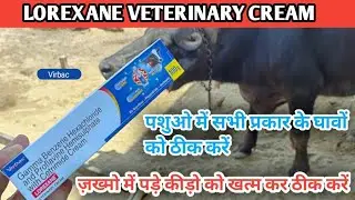 LOREXANE VETERINARY CREAM | कुत्ते,गाय,भैंस सभी पशुओँ के घाव को कैसे ठीक करे | घाव का ईलाज Virbac