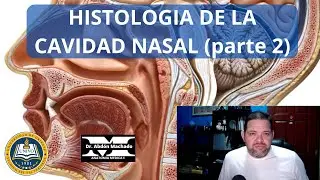 histologia de la cavidad nasal parte 2