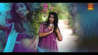 SOHNEEN AAHYAN || KISHWAR JABEEN || NEW MUSIC VIDEO || SHAHANSHAH GOLD 