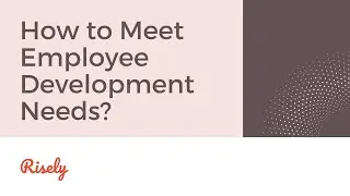 How to Meet Employee Development Needs? | Risely