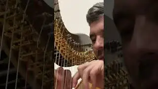 A fun section from Henriette Reni&eacute;&rsquo;s &ldquo;Legende&rdquo; #harp #classicalmusic #practice