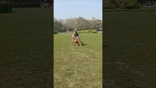 surya namaskar by pravi#kid#viral #shorts #trending#ytshrts
