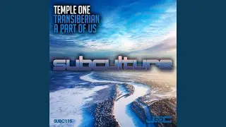 A Part of Us (Original Mix)