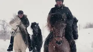 Coronavirus? Our horses don't care... They enjoy the real Iceland! by Mr Iceland