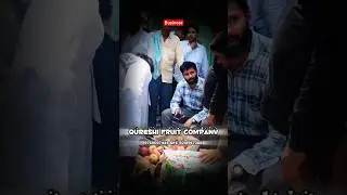 82 Rate || QURESHI Fruit company🍎 #ytshorts #apple #mandi