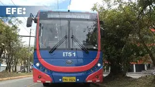 Quito se convierte en pionera en Ecuador con nueva flota de trolebuses 100 % eléctricos