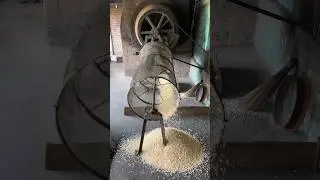 Amazing Puffed Rice Making in Factory #shorts #youtubeshorts #youtubeshortsvideo