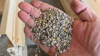 Chili seed cleaning machine destoner removes stones #chiliseed