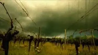Matthias Springer - Analog Bird Machine (DimbiDeep Music)