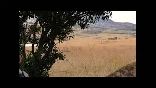 Blesbuck hunt with Carlo Engelbrecht Safaris