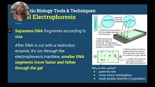 Molecular Biology Notes: Synthetic Biology