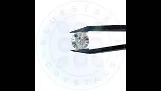 Swarovski Sew On Buttons - Product Video