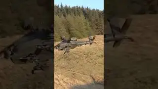 AH-64 Apache  low flying #ah64d #ah64eapache #ah64e