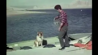2 Rangesr Lassie (Season 16 Eps 18 Winged Rescue)