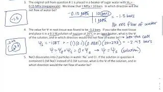 Water Potential Practice Problems Solved