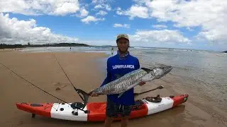 New Years Eve Coffs Coast Spanish Mackerel