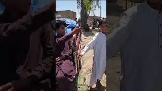 Sarband Mandi | Peshawar 46