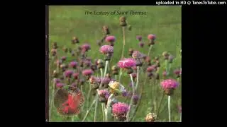 The Ecstasy Of Saint Theresa - Interstellar Overdose