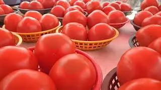 A Top Colorado Farmers Market - Season 1 | Episode 2