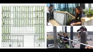 RAI Amtrium- Verticale moestuin