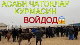 КАМАШИ ЧИМ МОЛ БОЗОРИ НАРХЛАРИ 2026-ЙИЛ 17-ЙАНВАР! QAMASHI CHIM MOL BOZORI NARXLARI 2026-YIL 17-YAN!