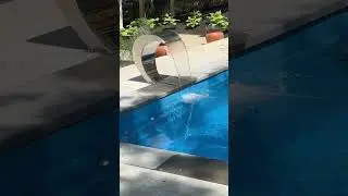 Sea Isle fiberglass pool with a water feature!