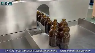 CX-CXP Bottle Washing Machine丨Ultrasonic Vial Washing Machine for Pharma