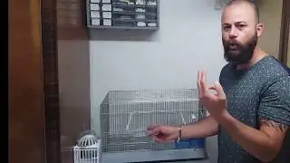 La gabbia, la base per poter iniziare a tenere dei canarini