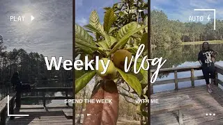 A Day in the Life of a Florida Local: Authentic Experiences | HareaseW
