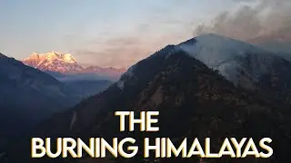 Forest Fire in Uttarakhand || The Himalayas are Burning