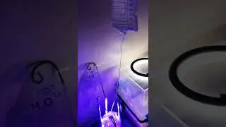 IV Drip BioReactor Fungal + Algae Symbiosis