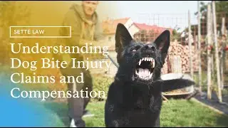 Understanding Dog Bite Injury Claims and Compensation