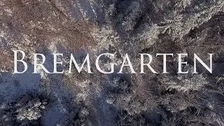 Winter im Bremgartenwald