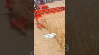 SARDAR REAPER MACHINE , gehu katne wali reaper machine 2025 #reaperbinder #reapermachine
