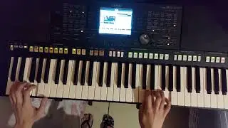 Mulopa dos Teclados - Temporal de Amor - Demonstração no teclado
