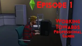 Episode 1 - Working Towards Professional Gamer