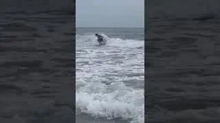 Standish Nugget 6/18/22