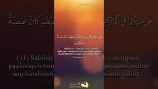 Al Anaa'm 11