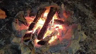 DISPERSED CAMPING IN HOOSIER NATIONAL FOREST (INDIANA)