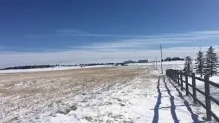 DRanch 2/2019