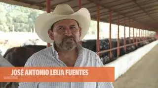 ¿Qué papel juegan los antibióticos en la salud animal?