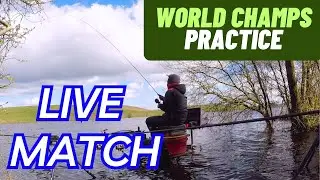 MATCH FISHING LIVE - FEEDER FISHING - WORLD CLUB CHAMPS PRACTICE FESTIVAL